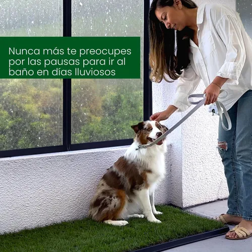 Vista 8 de Fresh Patch Mini parche de césped real para perros, gatos y mascotas pequeñas de menos de 8 libras, almohadillas desechables para orinar