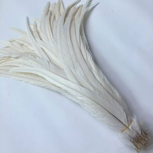 Vista 3 de Shekyeon Paquete de 50 sombreros usados con plumas de cola de gallo de 12 a 14 pulgadas