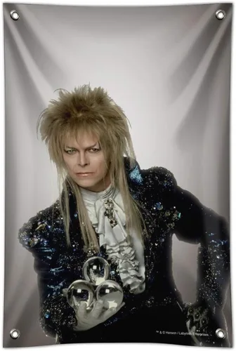 Vista 5 de GRAPHICS & MORE David Bowie As Jareth from The Labyrinth - Letrero para oficina en casa