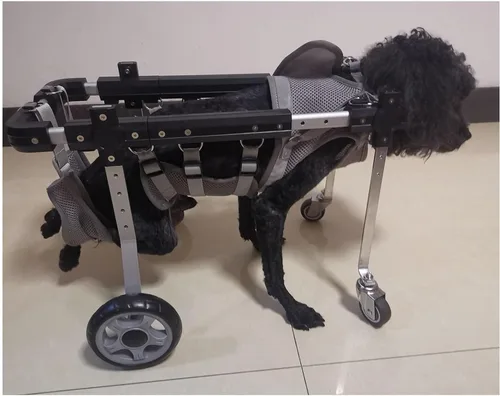 Vista 3 de KYOFIS Ayuda de movilidad para mascotas discapacitadas, silla de ruedas para perros de 4 ruedas con correa y tiras reflectantes para perros