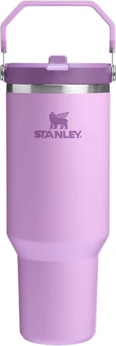 Vista 122 de STANLEY IceFlow 2.0 - Vaso con pajilla abatible con asa, 30 onzas, tapa giratoria y popote abatible, botella de agua a prueba de fugas, acero Tiza