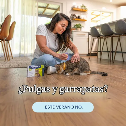 Vista 11 de petarmor Plus & de pulgas Tick Tratamiento para gatos, más de 1,5 kg, 3 ct Ideal for Cats 1.5 lbs+; Kills Fleas, Eggs, Larvae, Ticks & Lice
