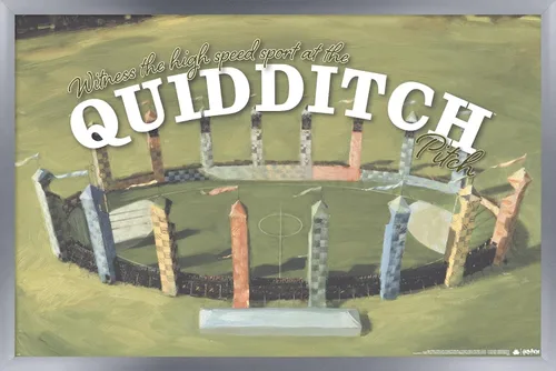 Vista 11 de Trends International El mundo mágico: Harry Potter - Póster de pared de Quidditch de testigo Versión con marco de bronce