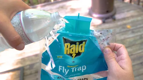 Vista 5 de Raid Trampa para moscas (paquete de 2), trampa para moscas al aire libre, bolsa desechable para trampa para moscas, trampa para moscas de casa
