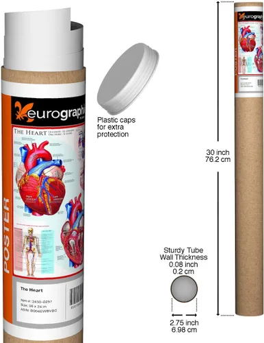 Vista 2 de EuroGraphics Póster The Heart, 36 x 24 in