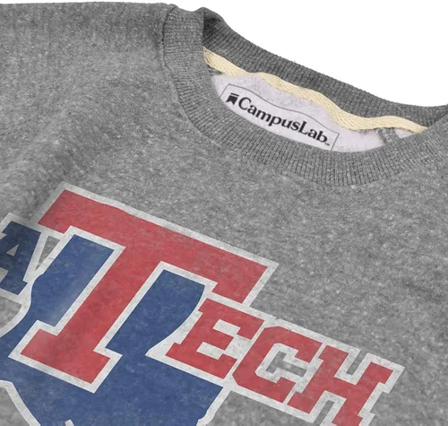 Vista 2 de Campus Lab Collegiate Simple Distressed Unisex Adulto Slim Fit Sudadera Sudadera Cuello Redondo Colección