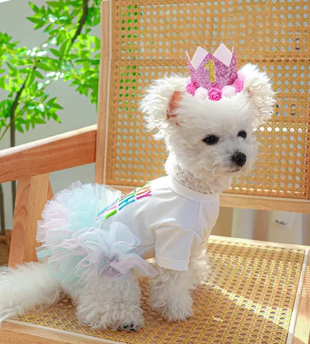 Vista 23 de ANIAC Daisy Vestidos para Perros Pequeños Hembra con Anillo para Correa, Nudo de Lazo Vestido de Boda para Cachorra, Traje de Gato de San Valentín
