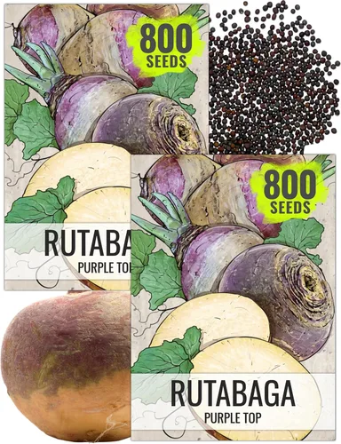 Vista 10 de Seed Needs Purple Top Rutabaga Seeds to Plant Heirloom & GMO 1 paquete
