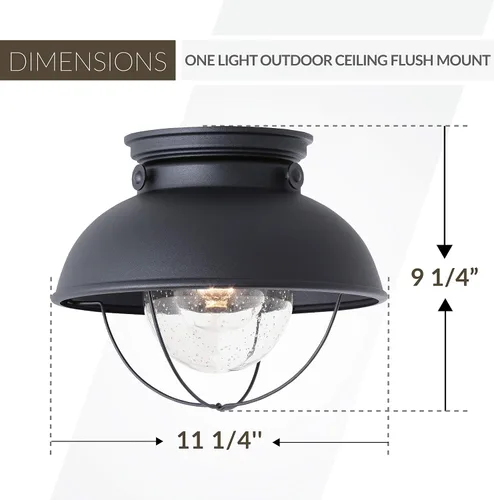 Vista 3 de Generation Lighting 8869-12 Sebring Transitional One - Lámpara de montaje empotrado para techo al aire libre, acabado negro, 1 luz, listado cETL