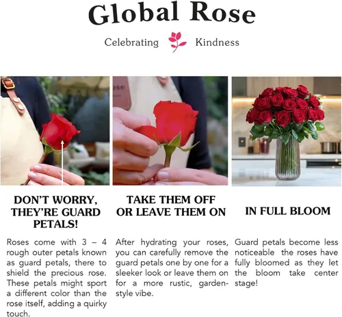 Vista 6 de GlobalRose Ramo de 50 rosas surtidas, rosas de origen responsable, flores frescas, ramo fresco de flores seleccionadas a mano para el día