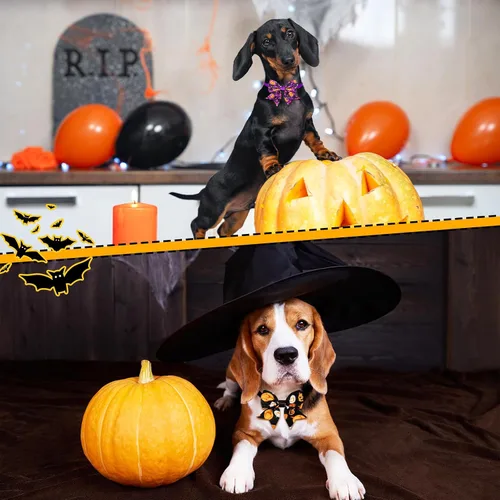 Vista 5 de Maitys 40 corbatines de Halloween para perros y gatos, collares básicos de corbatín para cachorros, accesorios para el cuello de gatito, accesorios