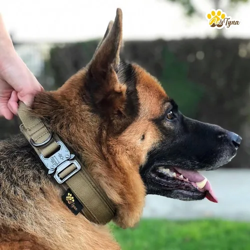 Vista 5 de Collar de perro táctico militar K9 Ajustable con asa Para entrenamiento y servicio, para pastor alemán