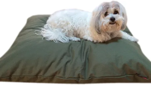 Vista 11 de DIY Do it yourself resistente, duradero y cómodo, lujosa cama suave para mascota, cobertor, almohada cama y forro interior, impermeable resistente