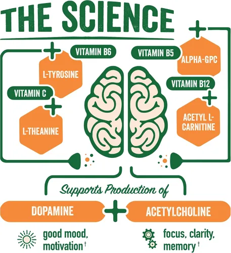 Vista 4 de BrainJuice Suplemento de apoyo cerebral nootrópicos, polvo sin gluten para energía y concentración, mezcla de bebida con L teanina, Alpha GPC