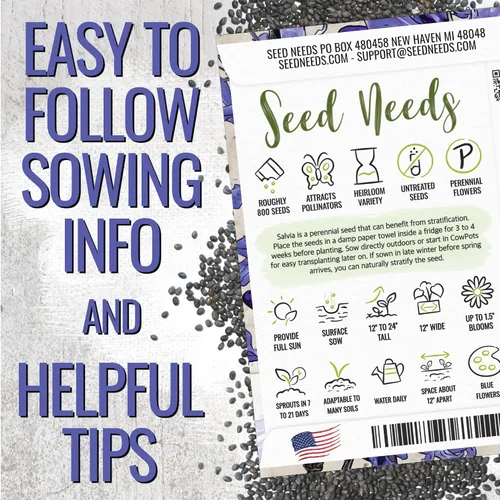 Vista 4 de Seed Needs Semillas de salvia de zafiro para plantar flores de salvia azul, 2 paquetes