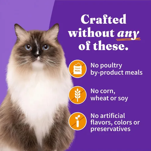 Vista 6 de Alimento húmedo para gatos de Halo
