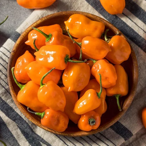Vista 3 de 150 semillas de pimienta habanero naranja, sin OMG, chile súper picante para plantar, ideal para salsa picante, salsas y jardines domésticos - Alta