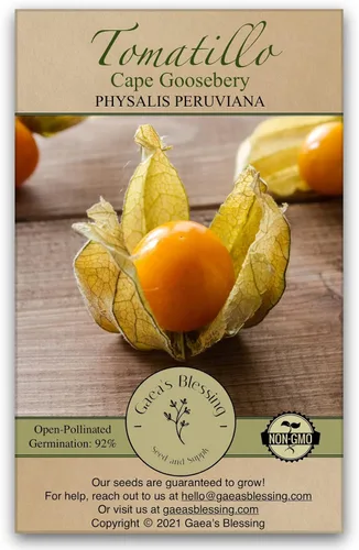 Vista 9 de Gaea's Blessing Semillas – Semillas de tomatillo – Semillas de reliquia sin OMG con instrucciones de siembra fáciles de seguir – Polinizadas La tía