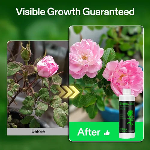 Vista 4 de VIVOSUN Bloom Juice (0-6-4), suplemento de floración fertilizante líquido para etapa de floración, alimento concentrado para plantas para todas
