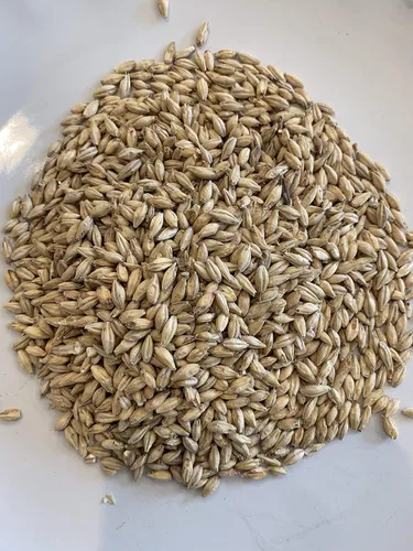 Vista 2 de s Kit de fermentación para whisky de cebada malteada, maíz y luz de luna, kit de puré de 5 galones