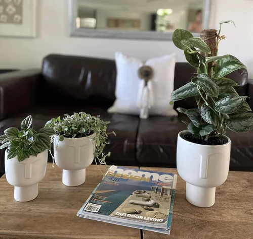 Vista 3 de Macetas para plantas de interior – Macetas altas de cerámica de riego automático de 7 pulgadas, maceta blanca mate con drenaje y maceta