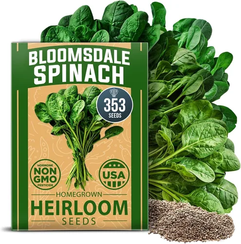 Vista 91 de HOME GROWN Semillas de zinnia rosa – 300 zinnias Luminosa 0.5g, semillas anuales de flores fáciles de cultivar para plantar al aire libre para 2026