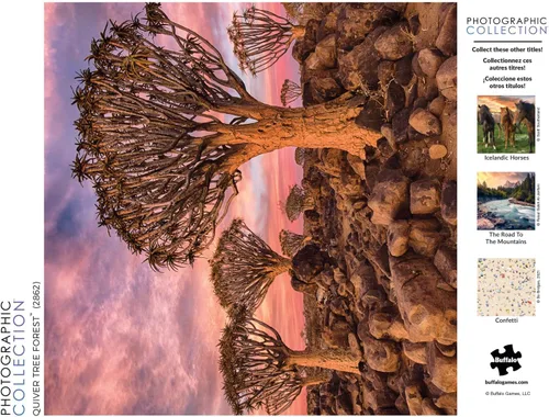 Vista 5 de Buffalo Games - Quiver Tree Forest - Rompecabezas de 300 piezas grandes