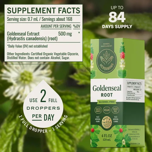 Vista 3 de HERBAMAMA Tintura Goldenseal - Apoyo inmunológico y digestión
