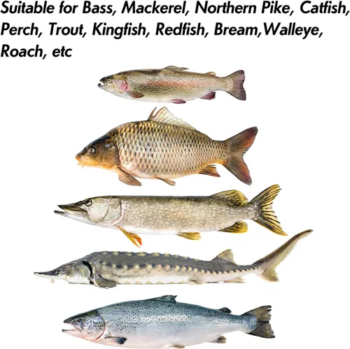 Vista 6 de Dr.Fish Anzuelos de Jigging Cuchara de Jigging para Pesca en Agua Salada Señuelos de Casting Cuchara de Metal para Pesca en Surf Señuelos