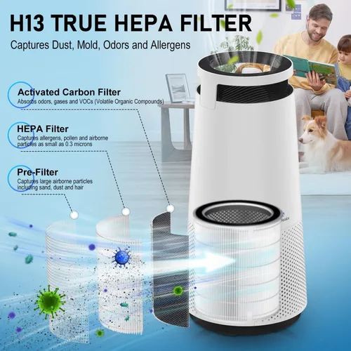 Vista 3 de DH Lifelabs Purificador de aire para el hogar, purificador de aire ionizador para alergias, filtro purificador de aire HEPA elimina el olor