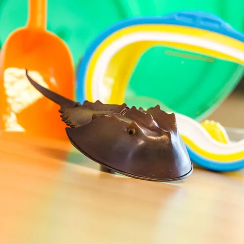 Vista 5 de Safari Ltd. Figura de cangrejo herradura – Figura detallada de plástico de 7 pulgadas – Divertido juguete educativo para niños, niñas y niños a