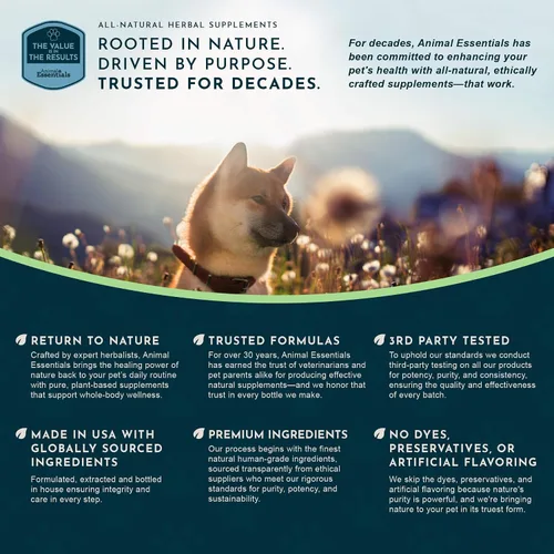 Vista 8 de Animal Essentials Polvo de rescate de colon ayuda digestiva a base de hierbas para perros y gatos, 1 onza – Hecho en Estados Unidos GI Support