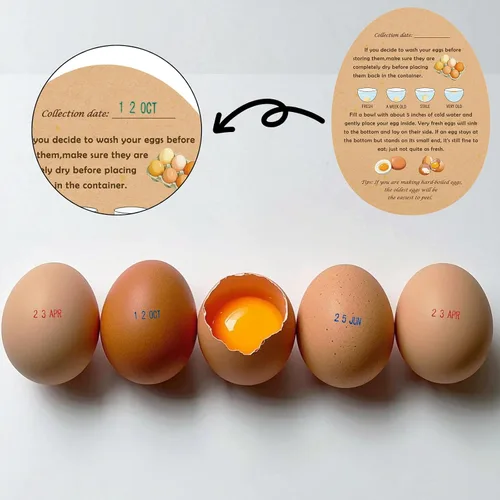 Vista 7 de Sellos de fecha de huevo para huevos frescos, con una almohadilla de tinta de cuatro colores, 50 Instrucciones de huevos frescos de granja, Kit