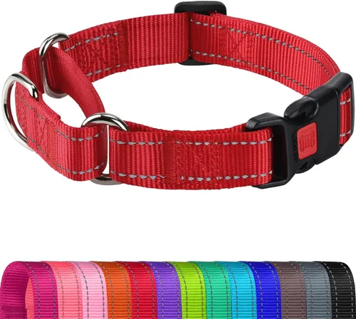 Vista 15 de Joytale Collar Martingale para perros, reflectante resistente para mayor seguridad, hebilla de liberación rápida, collares de nailon ajustables