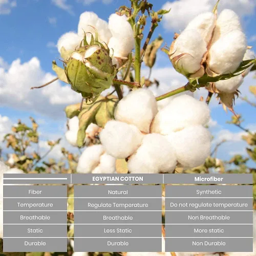 Vista 5 de Cotton King Juego de sábanas de 6 piezas de algodón egipcio de 800 hilos, 100% algodón egipcio, de alta calidad, ecológicas, duraderas, con bolsillo