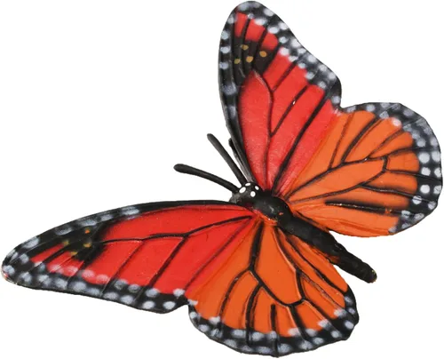 Vista 3 de Safari Ltd Ciclo de vida de una mariposa monarca