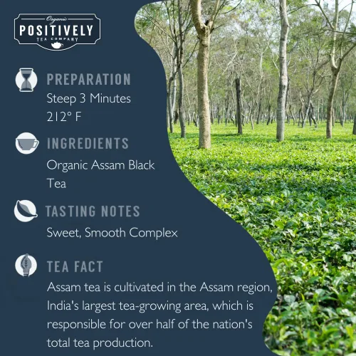 Vista 2 de Organic Positively Tea Company, Muestra de té negro, hoja suelta, 4 onzas, paquete de 3