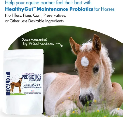 Vista 6 de HealthyGut - Kit de potro para caballos, suplemento dietético, fórmula totalmente natural (0.49 oz)