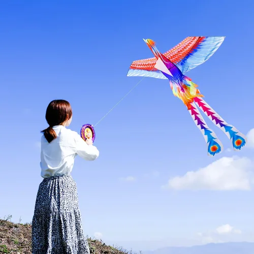 Vista 2 de Large Kite for Kids & Adults, Easy to Fly Bird Kites for Boys & Girls