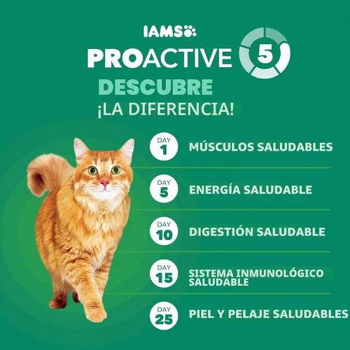 Vista 5 de IAMS Proactive Health - Alimento seco saludable para gatos mayores, receta de pollo, 3.5 libras Real chicken, antioxidants for immune health