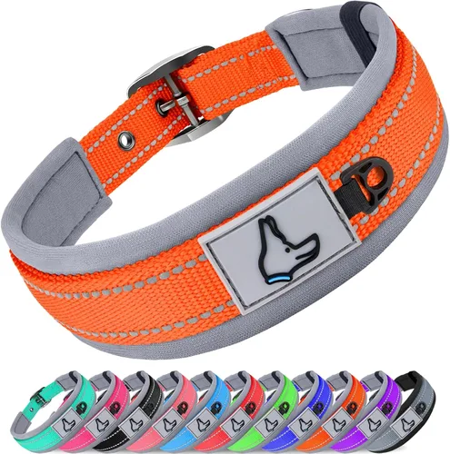 Vista 11 de Joytale Collar para perros pequeños, de neopreno acolchado y ajustable, collares para mascotas reflectantes, anchos y resistentes, con hebilla