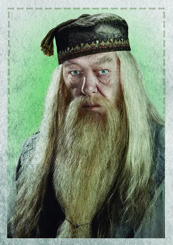 Vista 7 de Panini Harry Potter Witches & Wizards - Caja del tesoro de la colección de calcomanías (versión francesa)