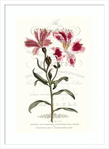 Vista 8 de Amanti Art Vision Studio - Lienzo decorativo para pared, 24 x 18 pulgadas, varietales de jardín de flores, arte de pared de flores, decoración