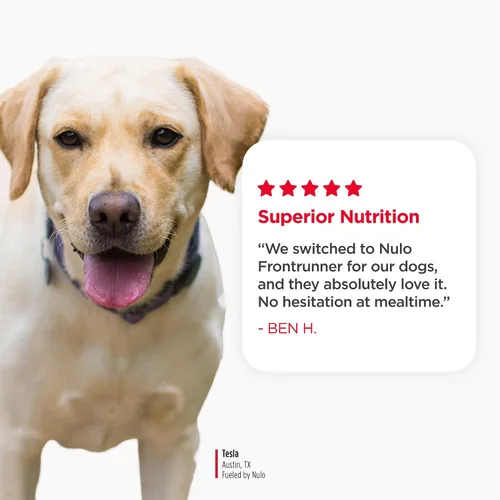 Vista 7 de Nulo Frontrunner Ancient Grains - Alimento para perros con alto contenido de proteínas, receta de cerdo, cebada y carne de res - Alimento seco