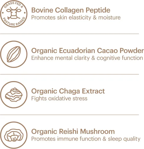 Vista 5 de Wellthy Superalimento en polvo de colágeno, combate el estrés y la fatiga, cacao, polvo de hongos, extractos orgánicos de chaga y reishi, matcha