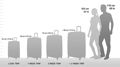 Vista 2 de Travel Select Amsterdam - Equipaje vertical y expandible con ruedas, Gris