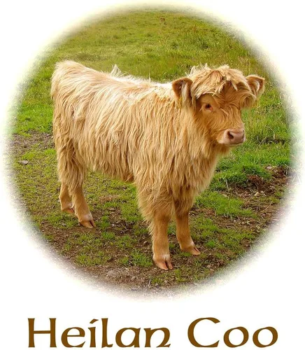 Vista 3 de CafePress Heilan Coo (Highland Cow) Taza de café de cerámica de 11 oz (11.0 fl oz)
