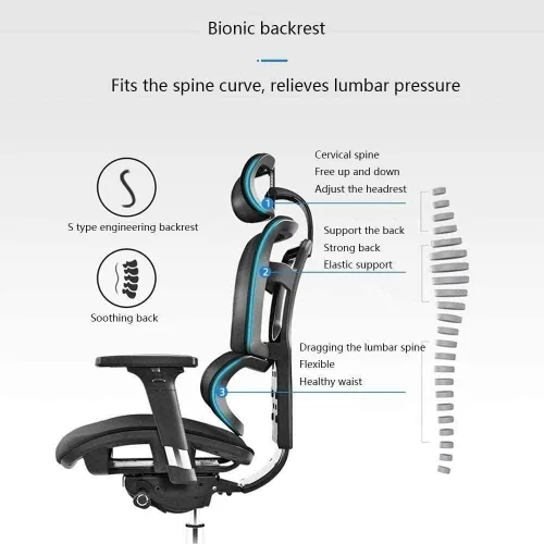 Vista 3 de Commercial Ergonomic High Back Executive Mesh Chair, with Adjustable Lumbar Support, Headrest and 3D Armrests Configure Chassis Functions(A)