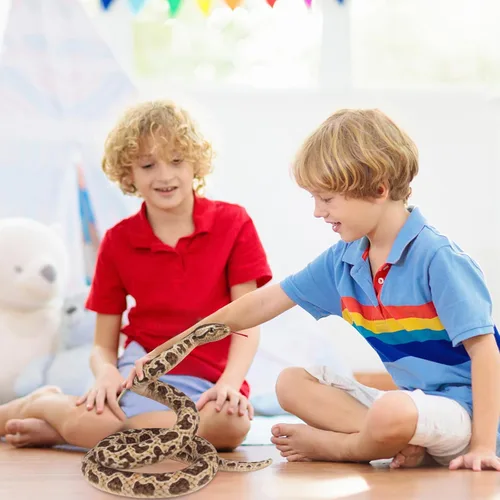 Vista 4 de Hozzi Boa Constrictor gigante de peluche grande de serpiente de peluche realista de 78.7 in / 80 pulgadas, regalos realistas para niños, fiesta