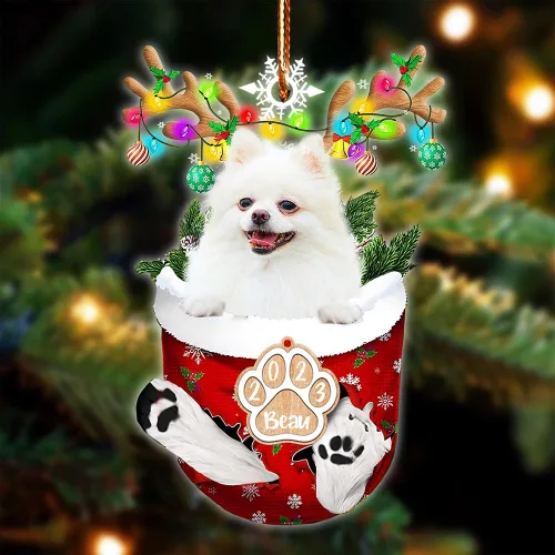 Vista 41 de NAZENTI Adorno Navideño de Bolsillo Personalizado de Affenpinscher en la Nieve, Adorno de Forma Acrílica de Perro, Adorno de Navidad 2023, Adorno